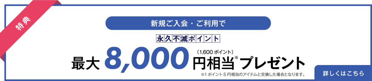 セゾンコバルト・ビジネス・アメックスのキャンペーン